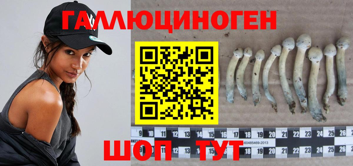 Геленджик  Псилоцибиновые грибы Magic Shrooms  Вход с VPN  Галлюциногенные грибы мицелий 